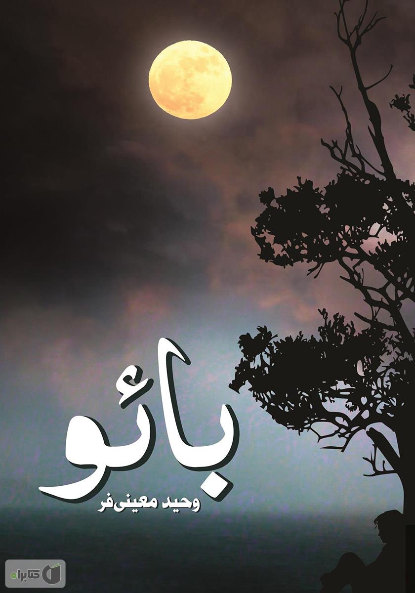 BAO Book Cover